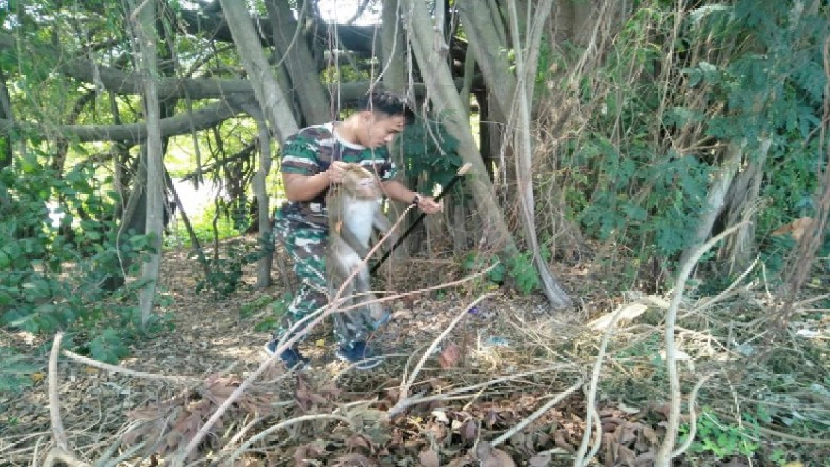 จับแล้ว! 2 ลิงแสบ แอบขโมยของกิน-รื้อค้นข้าวของ