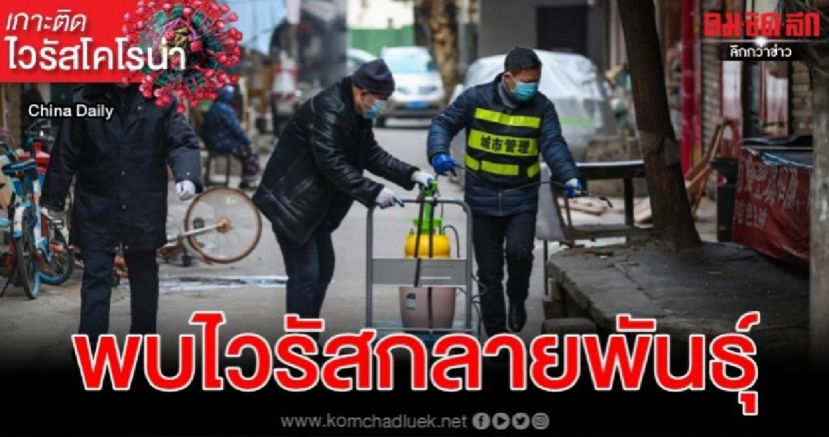 พบไวรัสโคโรน่าที่แพร่ในครอบครัวหนึ่งในกวางตุ้งกลายพันธุ์ พบไวรัสโคโรน่าที่แพร่ในครอบครัวหนึ่งในกวางตุ้งกลายพันธุ์