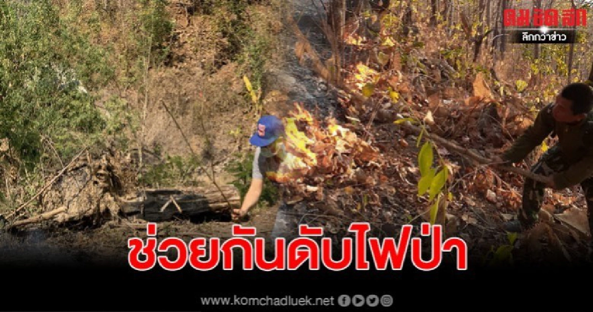 แม่ฮ่องสอนไฟป่าเริ่มแล้วนายอำเภอระดมกำลังดับทันควัน แม่ฮ่องสอนไฟป่าเริ่มแล้วนายอำเภอระดมกำลังดับทันควัน