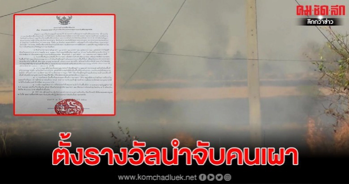 นอภ.เมืองชัยนาทตั้งรางวัลนำจับคนเผาป่า-เผานา 10,000 บาท นอภ.เมืองชัยนาทตั้งรางวัลนำจับคนเผาป่า-เผานา 10,000 บาท