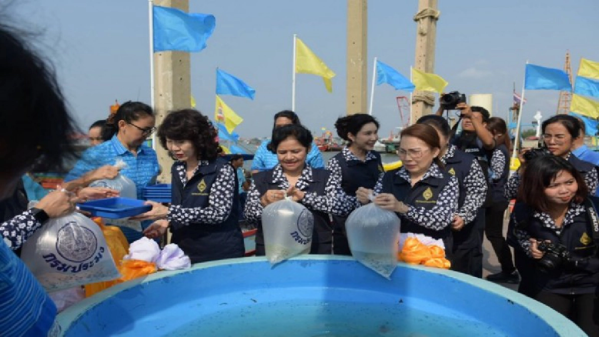 โครงการรักษ์ทะเล (เก็บขยะทะเล) และปล่อยพันธุ์สัตว์น้ำ โครงการรักษ์ทะเล (เก็บขยะทะเล) และปล่อยพันธุ์สัตว์น้ำ