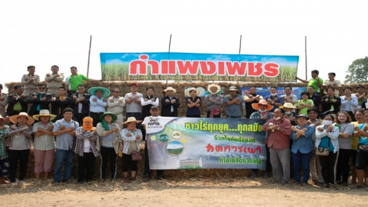 เกษตรไร่อ้อย กำแพงฯ ปฏิญาณท่องคาถาหยุดเผาอ้อยลดฝุ่น PM 2.5 เกษตรไร่อ้อย กำแพงฯ ปฏิญาณท่องคาถาหยุดเผาอ้อยลดฝุ่น PM 2.5