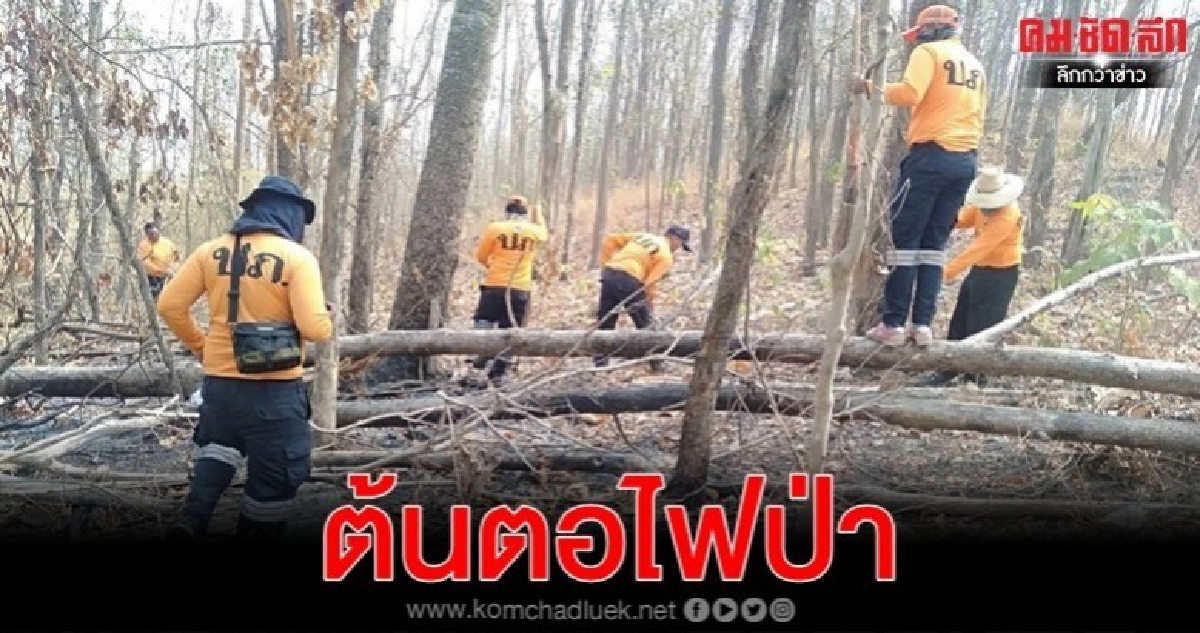 คุมฝุ่นละออง ป้องไฟป่า ประกาศเขตห้ามเผา 9 จว. คุมฝุ่นละออง ป้องไฟป่า ประกาศเขตห้ามเผา 9 จว.