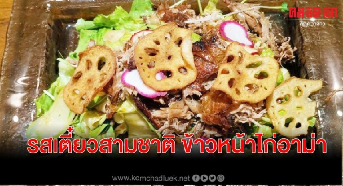 รสเตี๋ยวสามชาติ ข้าวหน้าไก่อาม่า รสเตี๋ยวสามชาติ ข้าวหน้าไก่อาม่า