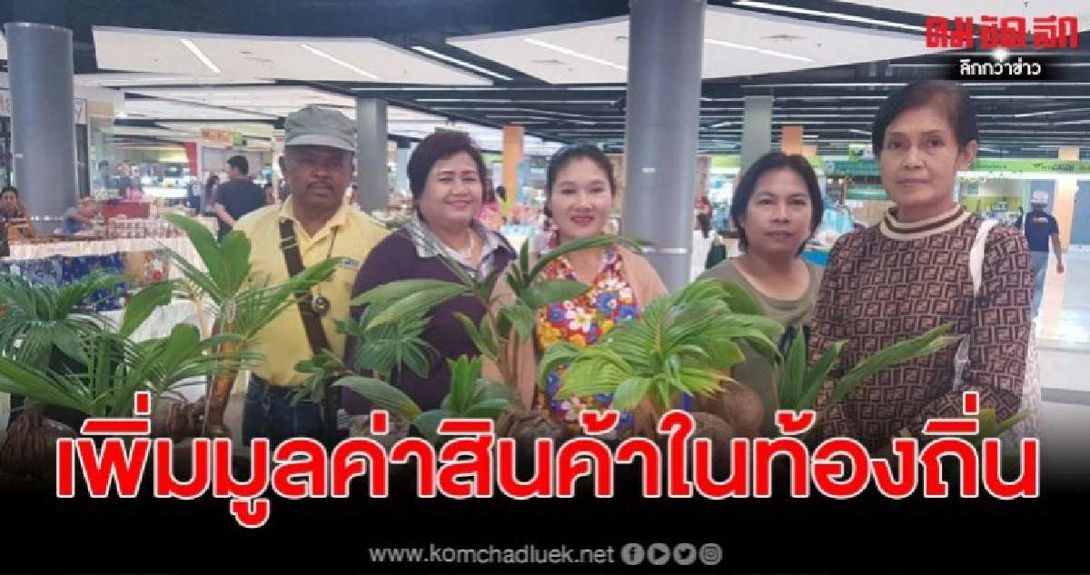 ผุดไอเดีย ปลูกบอนไซมะพร้าว เพิ่มมูลค่าสินค้าในท้องถิ่น ผุดไอเดีย ปลูกบอนไซมะพร้าว เพิ่มมูลค่าสินค้าในท้องถิ่น