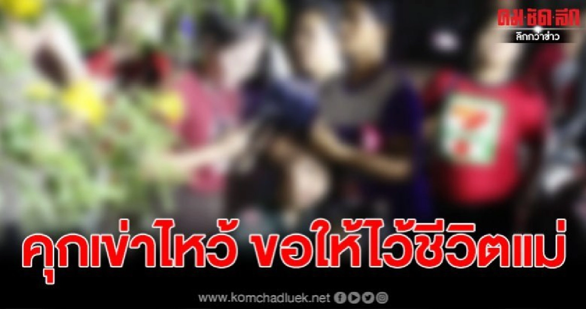 ด.ญ.13 คุกเข่าไหว้ขอชีวิตแม่ เสี่ยใหญ่ไม่สนยิงดับคาบ้าน ด.ญ.13 คุกเข่าไหว้ขอชีวิตแม่ เสี่ยใหญ่ไม่สนยิงดับคาบ้าน