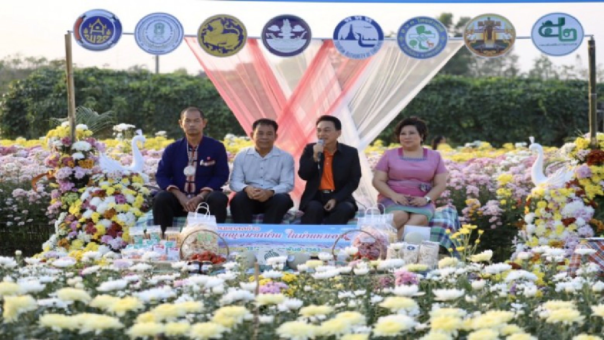 เตรียมเปิดเทศกาลเบญจมาศบานในม่านหมอก ครั้งที่ 18 เตรียมเปิดเทศกาลเบญจมาศบานในม่านหมอก ครั้งที่ 18