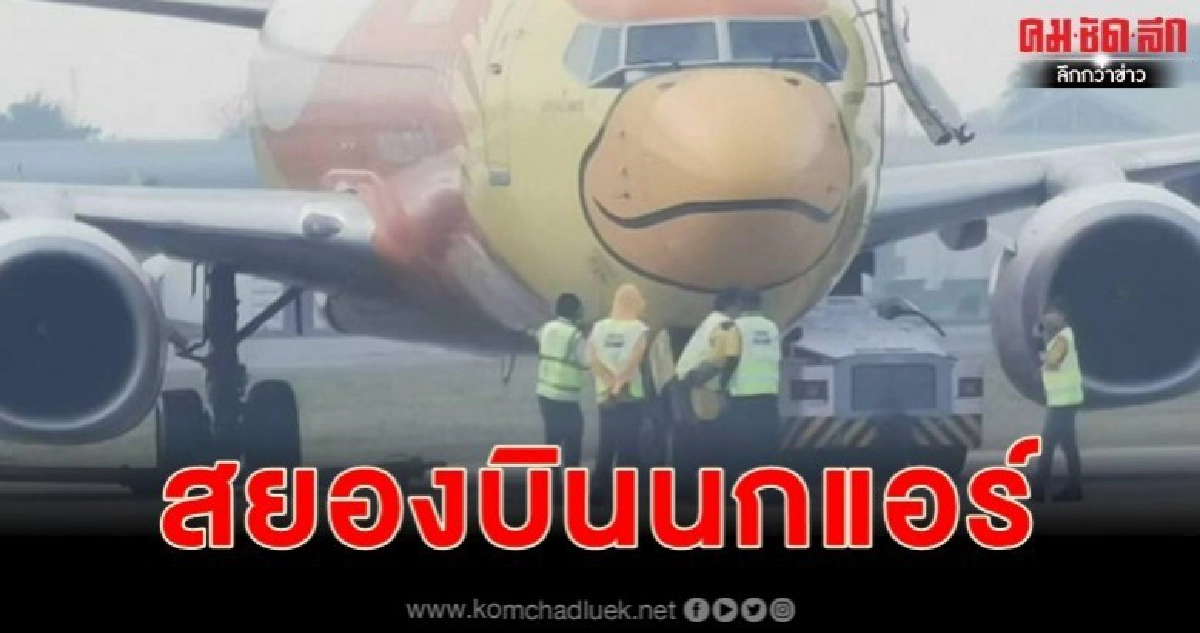 บินนกแอร์ทับรถช่างเครื่องดับ 1 สาหัส 1 บินนกแอร์ทับรถช่างเครื่องดับ 1 สาหัส 1