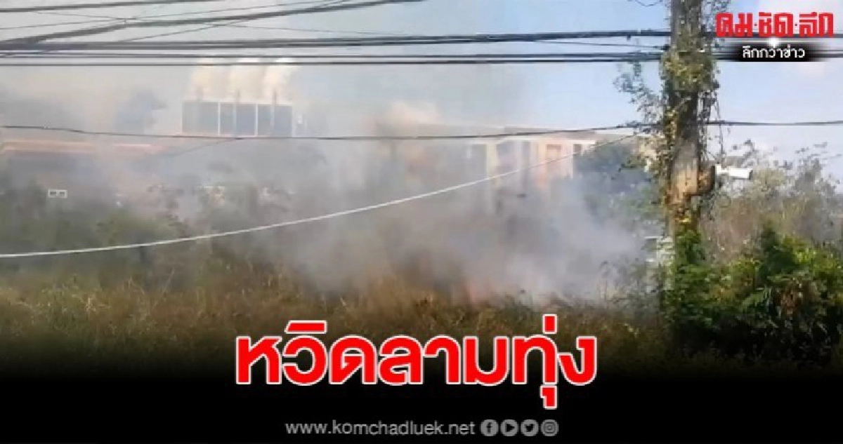 สุดวุ่น เกิดไฟไหม้ป่าละเมาะกลางเมือง จนท.เร่งเข้าดับด่วน 