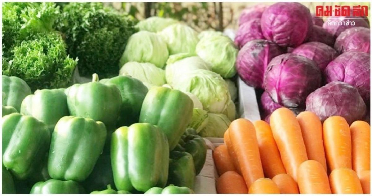  เปิดแล้ว"ร้านคิวผักอร่อย"ส่งตรงผักปลอดภัย