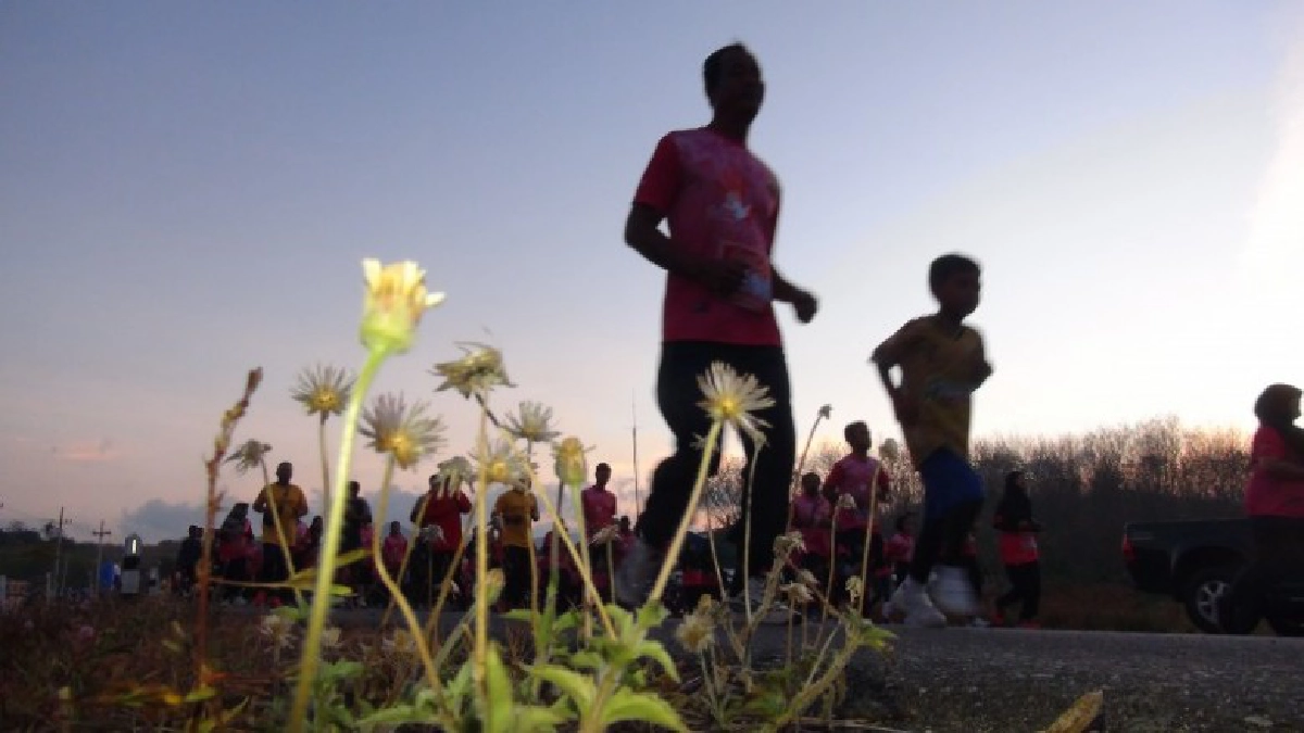 อบต.บ้านควนสตูลนำนักวิ่ง นักรักษ์สุขภาพนับร้อยคน อบต.บ้านควนสตูลนำนักวิ่ง นักรักษ์สุขภาพนับร้อยคน