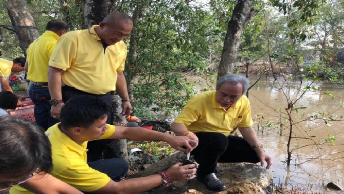 สมาคมรักษ์สิ่งแวดล้อมฉะเชิงเทรา ร่วมโครงการฟื้นฟูระบบนิเวศปล่อยพันธ์ุปูทะเล