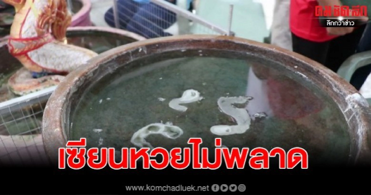 เซียนหวยแห่ส่อง เลขเด็ดงานทอดผ้าป่าสามัคคี