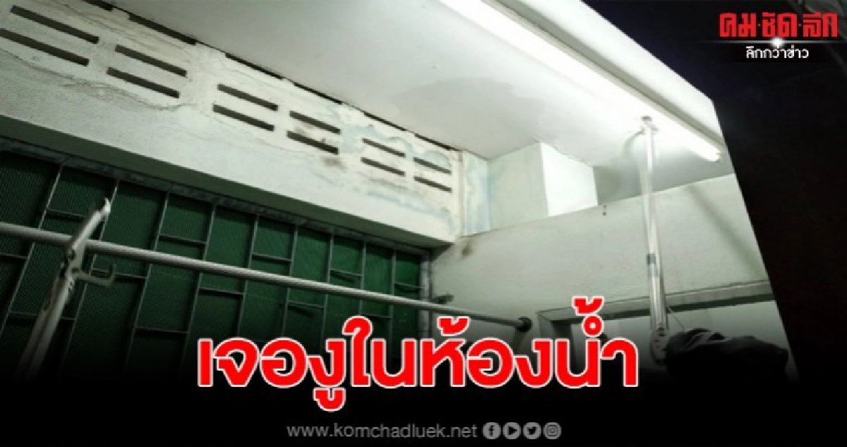 ยายตกใจหนักมาก เข้าห้องน้ำเจองู ยายตกใจหนักมาก เข้าห้องน้ำเจองู