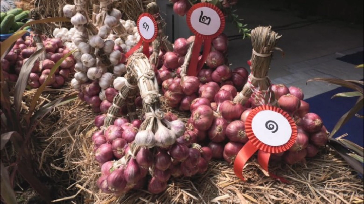 บ้านหอมแดงแห่งความรัก ขุมคำ วังหิน บ้านหอมแดงแห่งความรัก ขุมคำ วังหิน