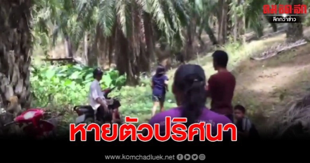 เร่งค้นหาหนุ่มใหญ่หายตัวปริศนาในป่า