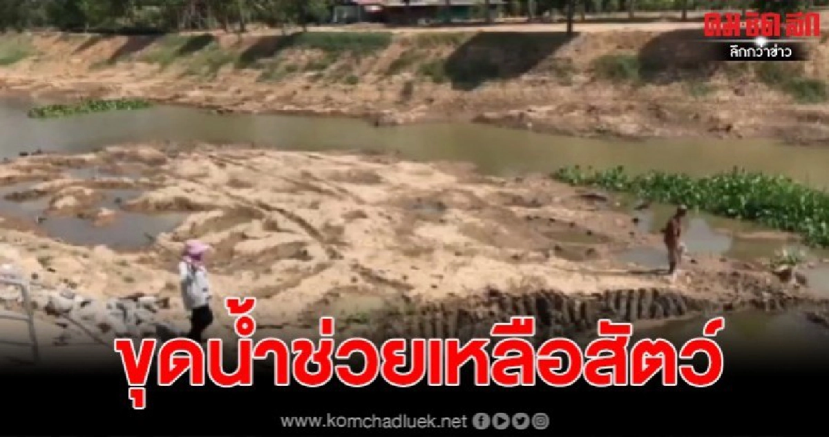 พระร่วม-ชาวบ้านขุดเจาะน้ำบาดาลช่วยสัตว์น้ำหน้าวัด พระร่วม-ชาวบ้านขุดเจาะน้ำบาดาลช่วยสัตว์น้ำหน้าวัด