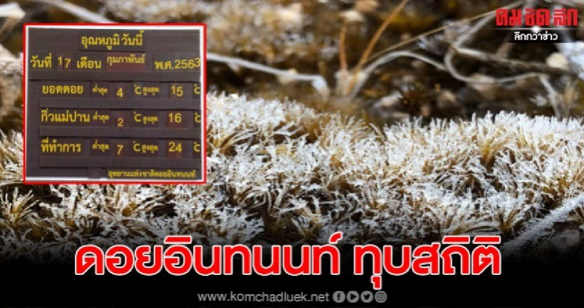 ดอยอินทนนท์ ทุบสถิติ เกิดเหมยขาบติดต่อกันยาวนานที่สุดในรอบปี