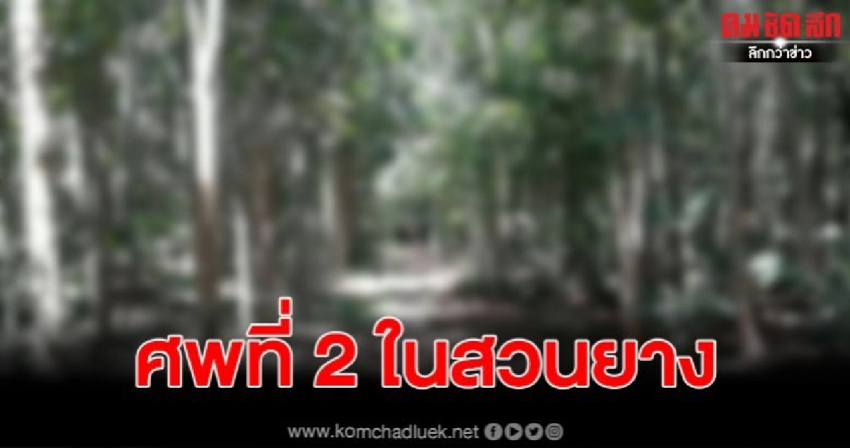 พบศพที่2ในป่าสวนยางเชื่อมโยงกับยาเสพติด พบศพที่2ในป่าสวนยางเชื่อมโยงกับยาเสพติด