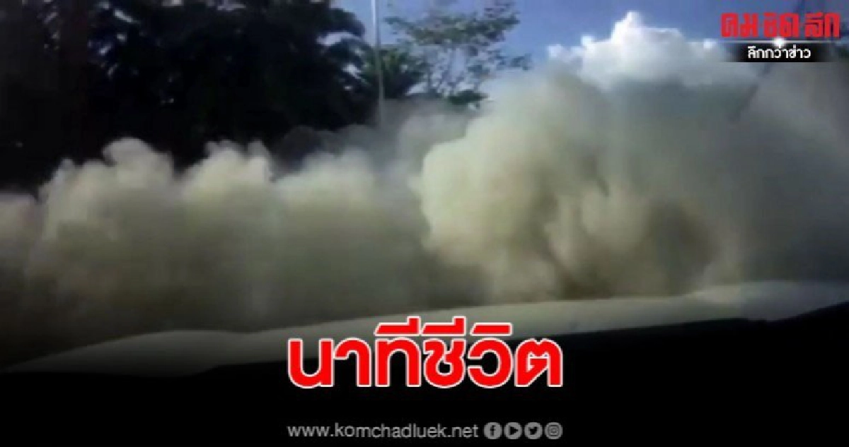 หวาดเสียวรถเทรนเลอร์บรรทุกปูน เทกระจาด ใส่รถสวนทาง หวาดเสียวรถเทรนเลอร์บรรทุกปูน เทกระจาด ใส่รถสวนทาง