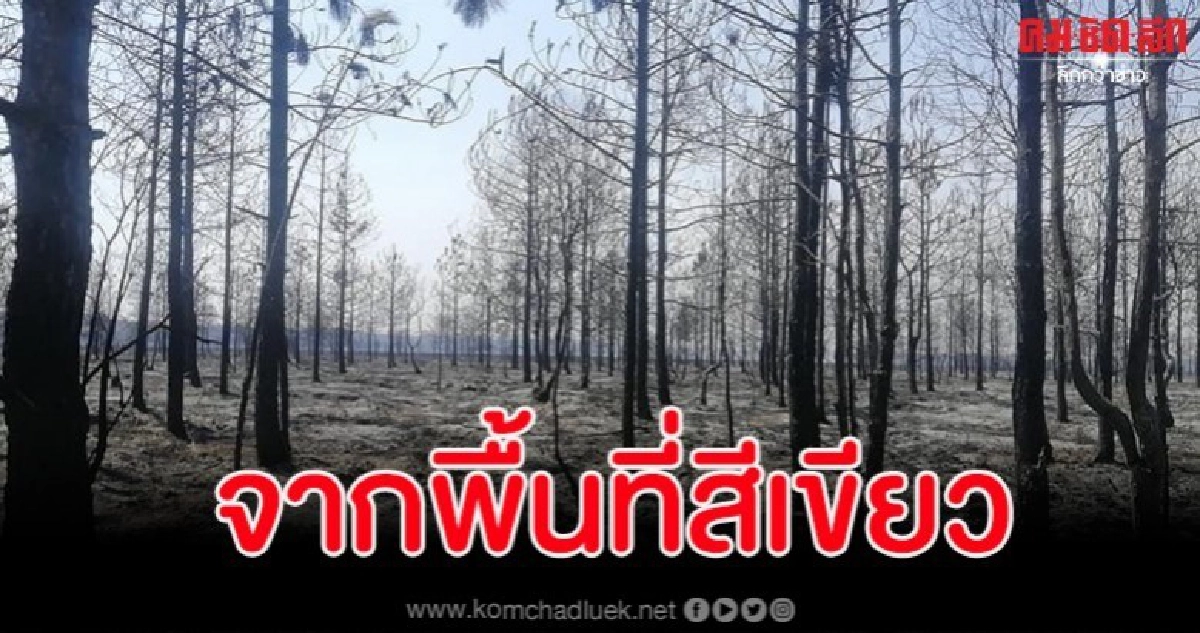 เศร้า เปิดภาพภูกระดึงหลังถูกไฟป่าผลาญวอดกว่า 3,000 ไร่ เศร้า เปิดภาพภูกระดึงหลังถูกไฟป่าผลาญวอดกว่า 3,000 ไร่
