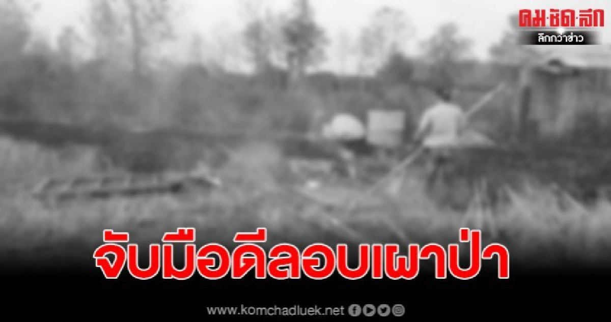 บุกรวบมือดีลอบเผาป่า 1 ราย หลังค่า PM 2.5 สูงจนวิกฤต บุกรวบมือดีลอบเผาป่า 1 ราย หลังค่า PM 2.5 สูงจนวิกฤต