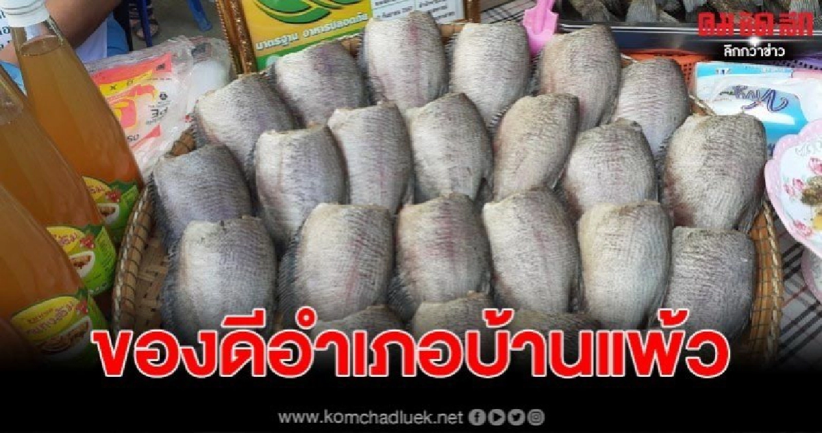 ชาวสวนชวนเที่ยวงานเกษตรและของดีอำเภอบ้านแพ้ว ประจำปี 2563 ชาวสวนชวนเที่ยวงานเกษตรและของดีอำเภอบ้านแพ้ว ประจำปี 2563