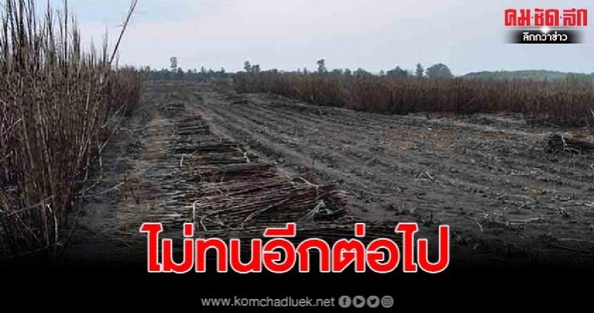 ชาวบ้านเตรียมยื่นร้องศูนย์ดำรงธรรมฯ เหตุเผาไร่อ้อย ชาวบ้านเตรียมยื่นร้องศูนย์ดำรงธรรมฯ เหตุเผาไร่อ้อย
