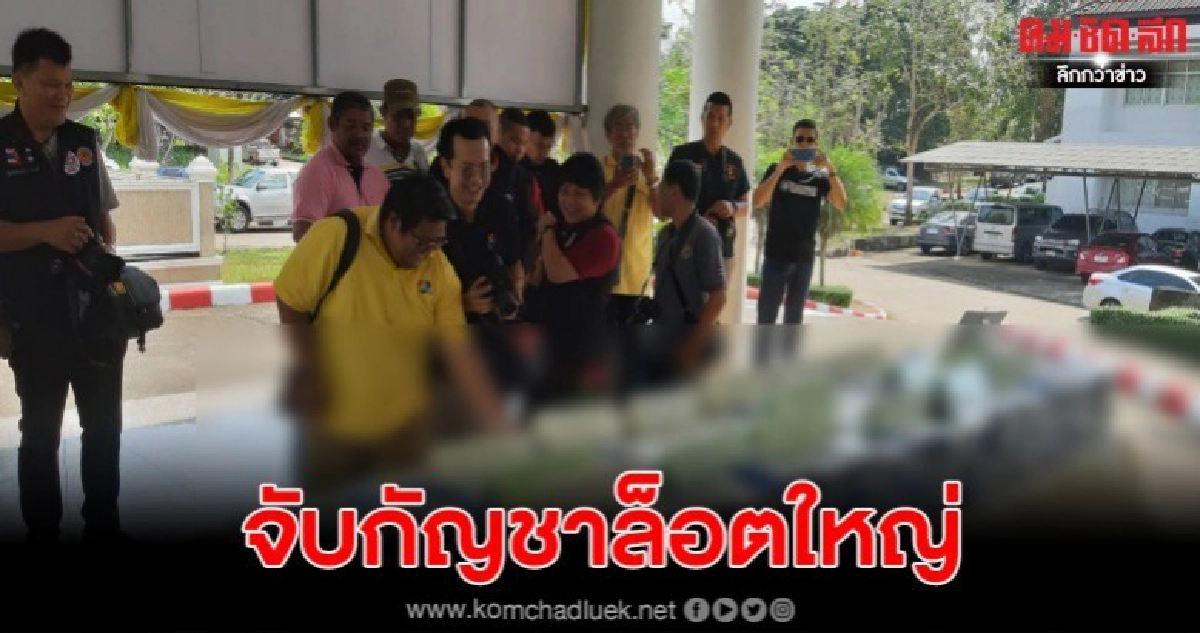 ตร.-ทหารชุมพรโชว์ผลงานจับกัญชาล็อตใหญ่ 600 แท่ง