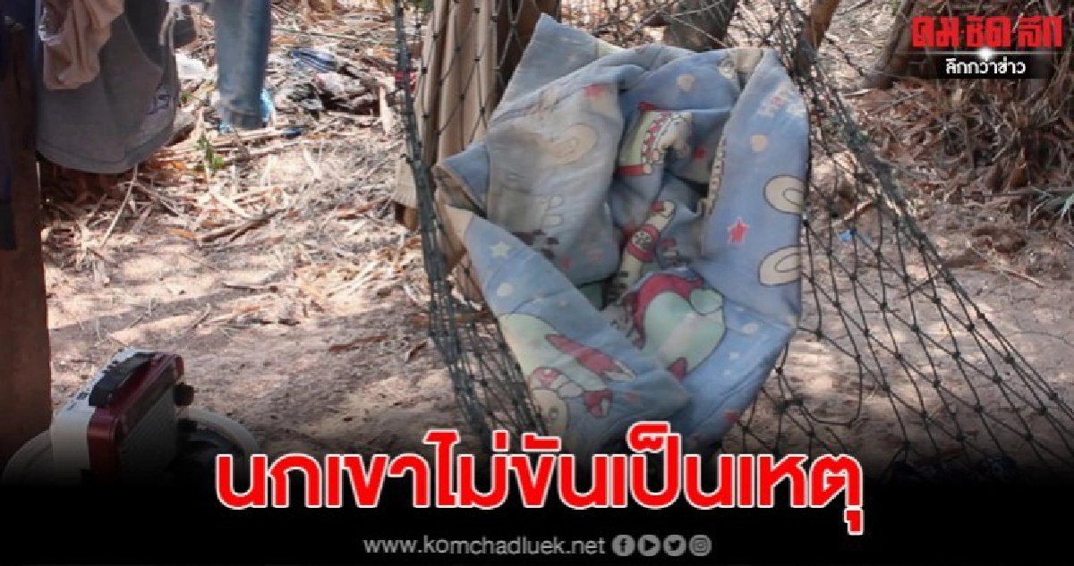 เผยปมหนุ่มจ่อยิงแฟนดับคาบ้าน เพราะนกเขาไม่ขันจนถูกบอกเลิก เผยปมหนุ่มจ่อยิงแฟนดับคาบ้าน เพราะนกเขาไม่ขันจนถูกบอกเลิก