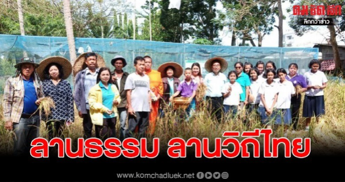 เปิดโครงการ"ลานธรรม ลานวิถีไทย"การปลูกข้าวไร่พันธุ์ดี เปิดโครงการ"ลานธรรม ลานวิถีไทย"การปลูกข้าวไร่พันธุ์ดี