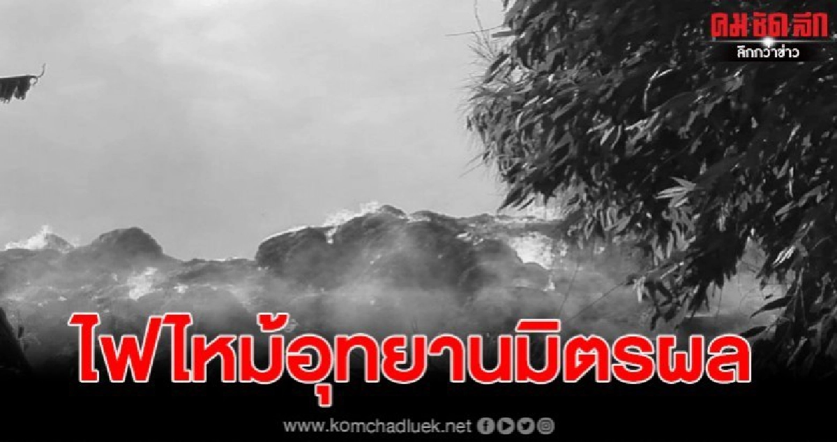 ไฟไหม้กองใบอ้อย อุทยานมิตรผล พนง.เร่งวิ่งกันจ้าละหวั่น ไฟไหม้กองใบอ้อย อุทยานมิตรผล พนง.เร่งวิ่งกันจ้าละหวั่น