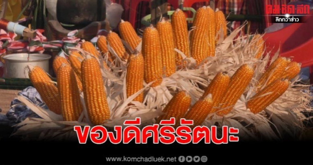 รำข้าวโพดหวาน ของดีศรีรัตนะ