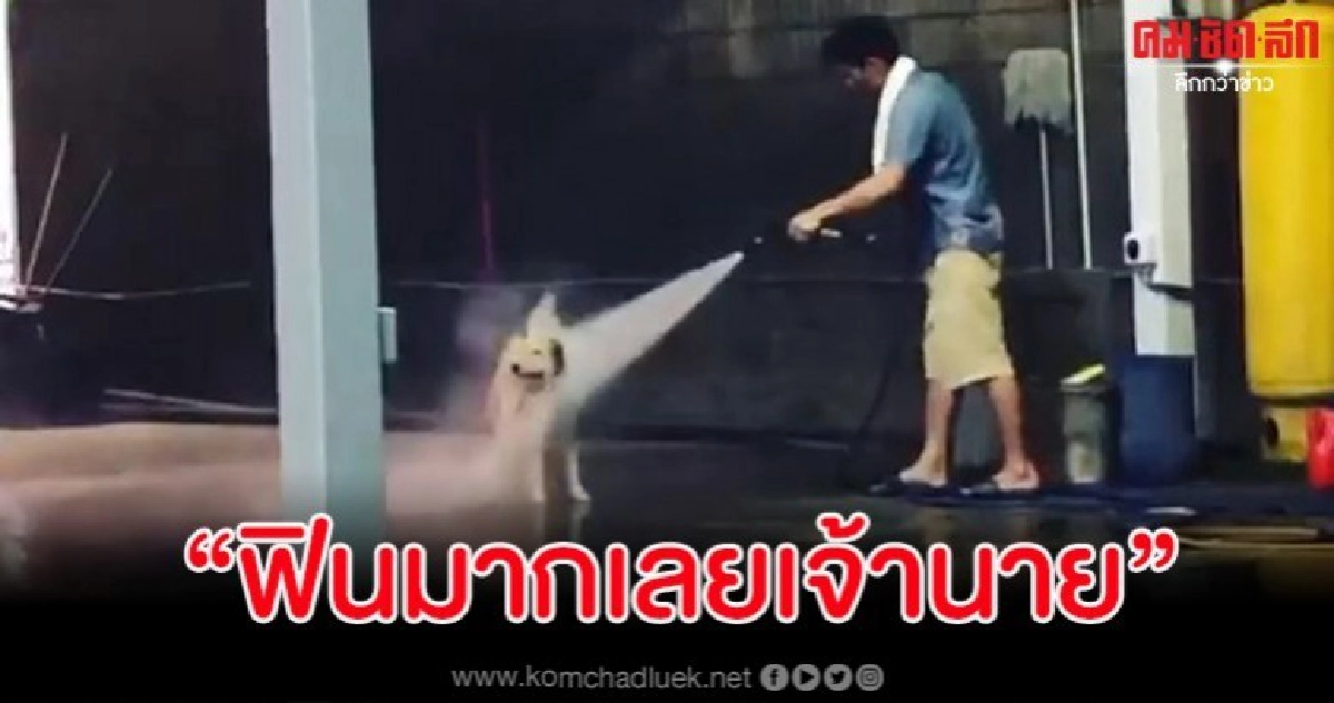 น่ารัก หนุ่มพาเจ้าตูบไปอาบน้ำที่คาร์แคร์ บอกเลยว่าฟินสุดๆ น่ารัก หนุ่มพาเจ้าตูบไปอาบน้ำที่คาร์แคร์ บอกเลยว่าฟินสุดๆ