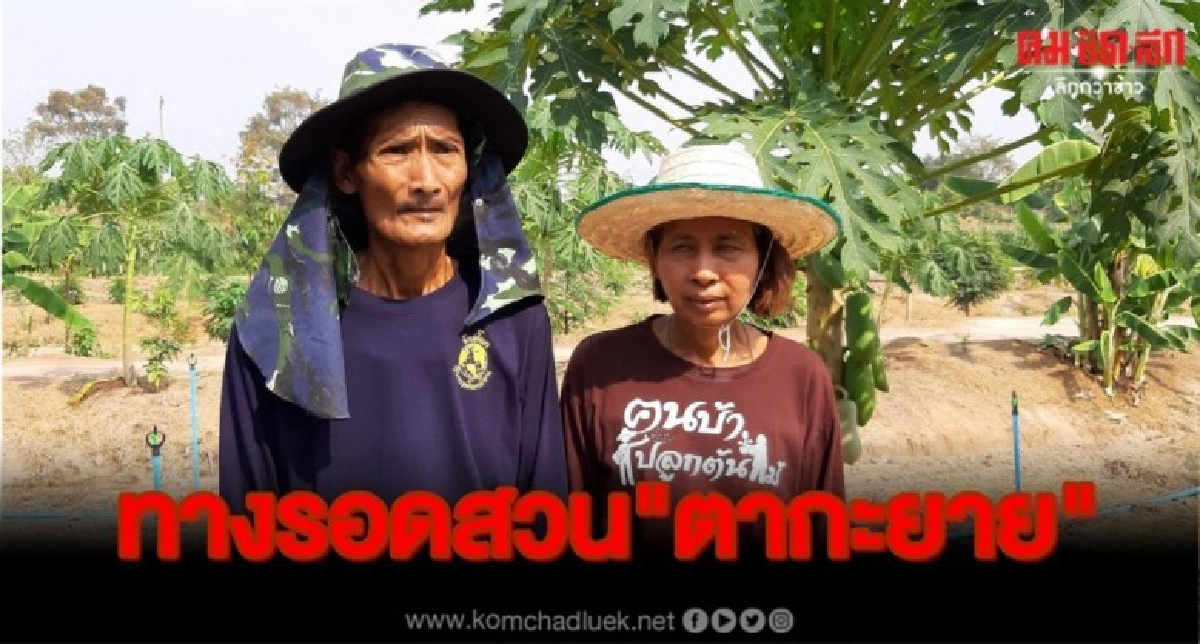 เกษตรผสมผสานทางเลือกสู่ทางรอดสวน"ตากะยาย"       