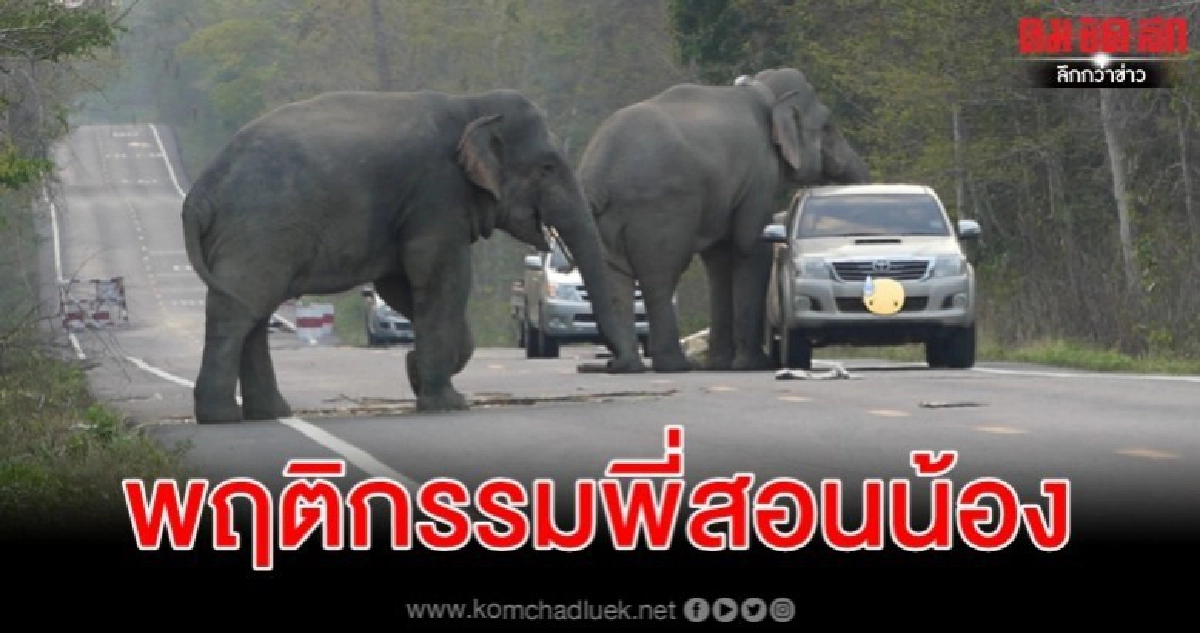 เตือนด่านลอยป่าเขาอ่างฤๅไนโปรดขับขี่ด้วยความระมัดระวัง เตือนด่านลอยป่าเขาอ่างฤๅไนโปรดขับขี่ด้วยความระมัดระวัง