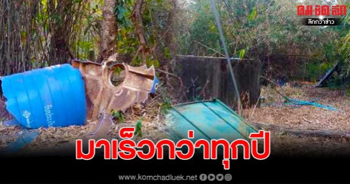 มาเร็วกว่าทุกปี โขลงช้างป่าหนีภัยแล้ง บุกยึดป่าดงคล้อ มาเร็วกว่าทุกปี โขลงช้างป่าหนีภัยแล้ง บุกยึดป่าดงคล้อ