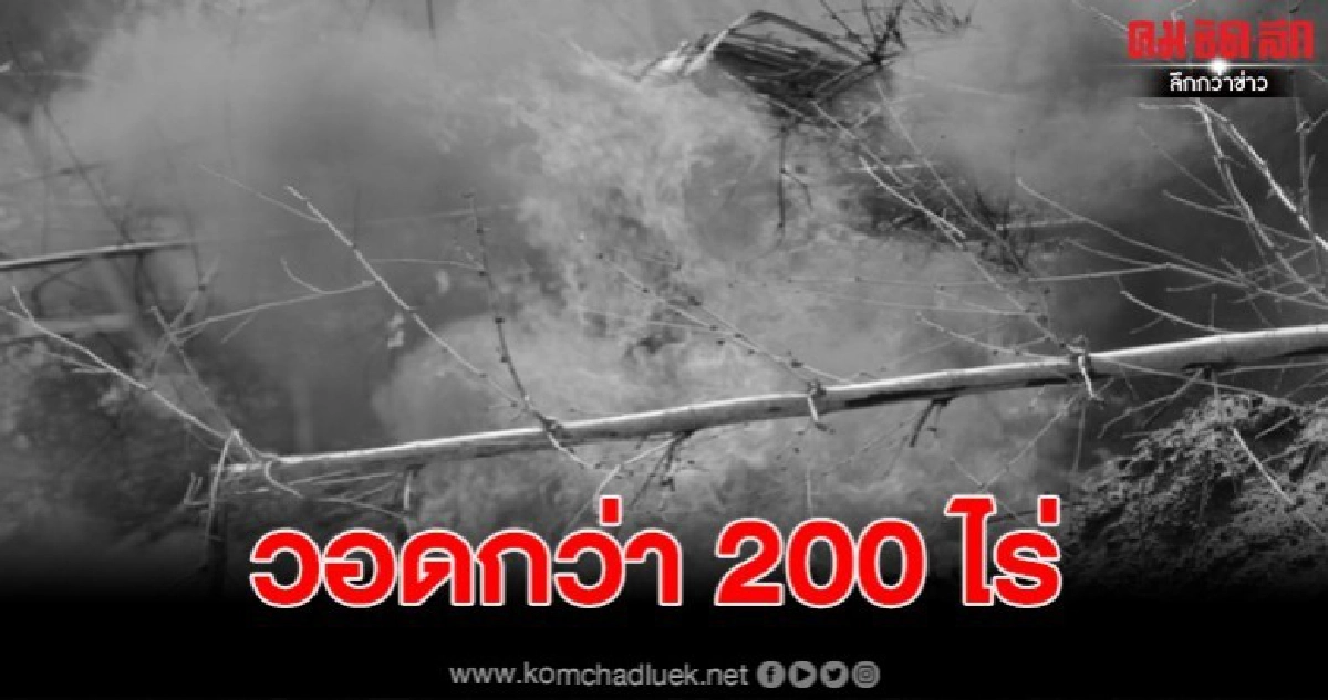 ไฟป่าเผาป่าสาธารณวอดกว่า 200 ไร่ ไฟป่าเผาป่าสาธารณวอดกว่า 200 ไร่