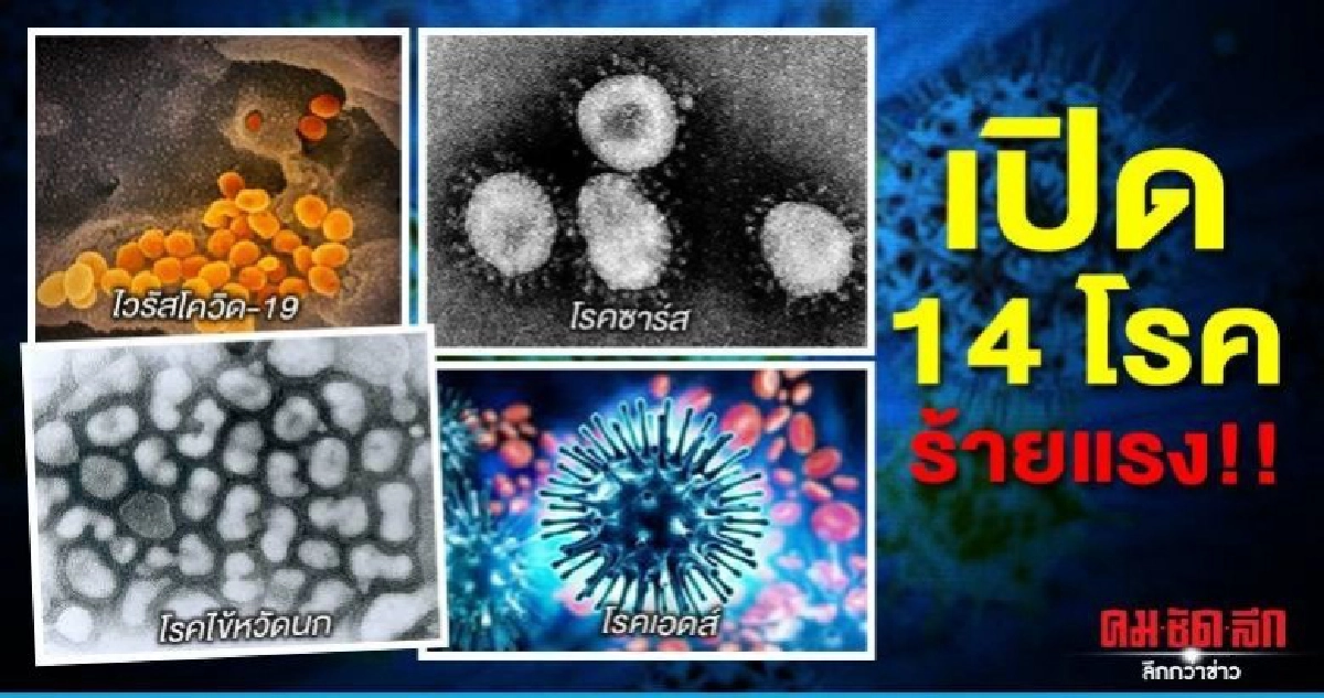 เปิด14 โรคติดต่อร้ายแรง ต้องแจ้งภายใน3ชม. เปิด14 โรคติดต่อร้ายแรง ต้องแจ้งภายใน3ชม.