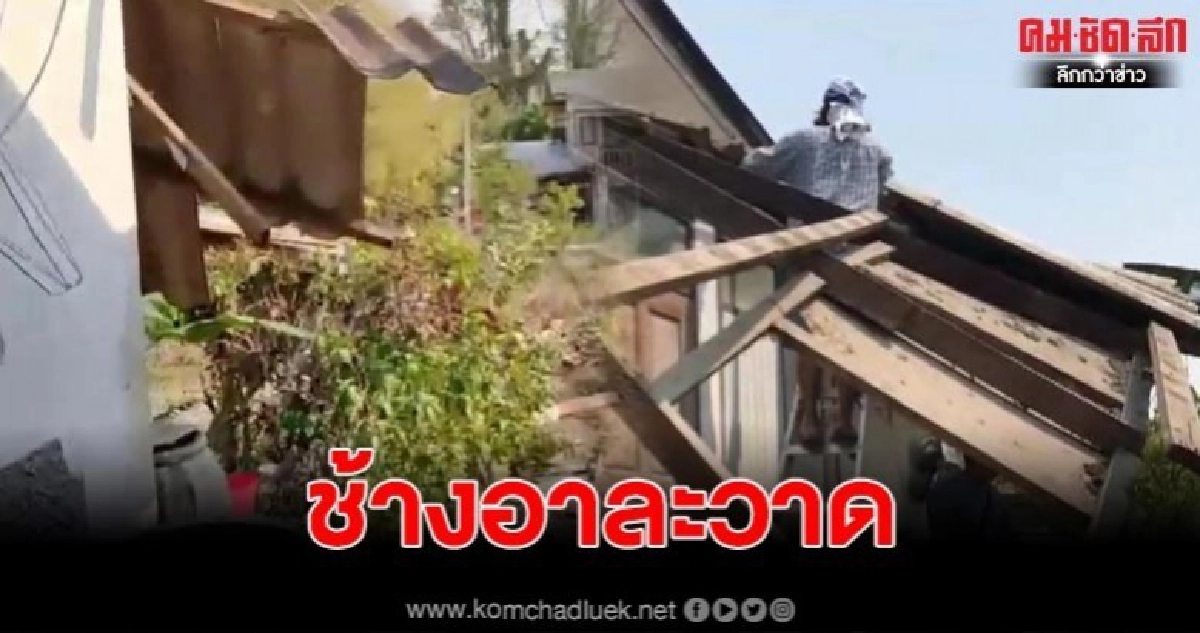ชาวบ้านผวาช้างหลุดอาระวาดทำลายบ้าน