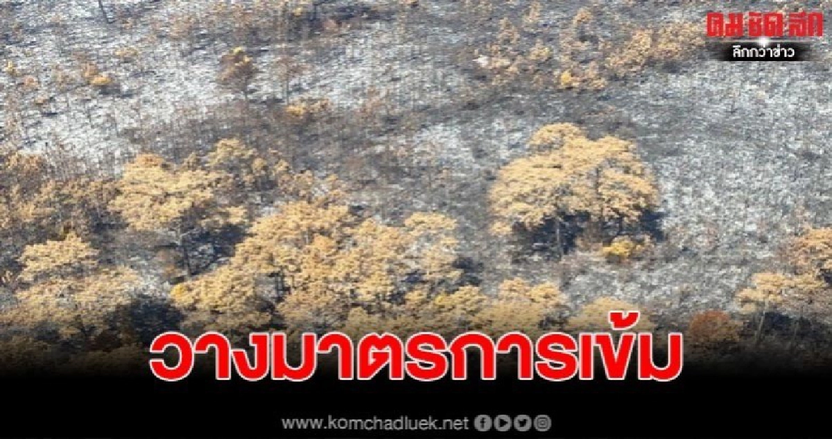 ผู้ว่าเลย-ผบก.ภ 4  ขึ้น ฮ.ดูแนวกันไฟภูกระดึง พร้อมวางมาตรการเข้ม สั่งทุกฝ่ายเร่งแก้ไขปัญหา