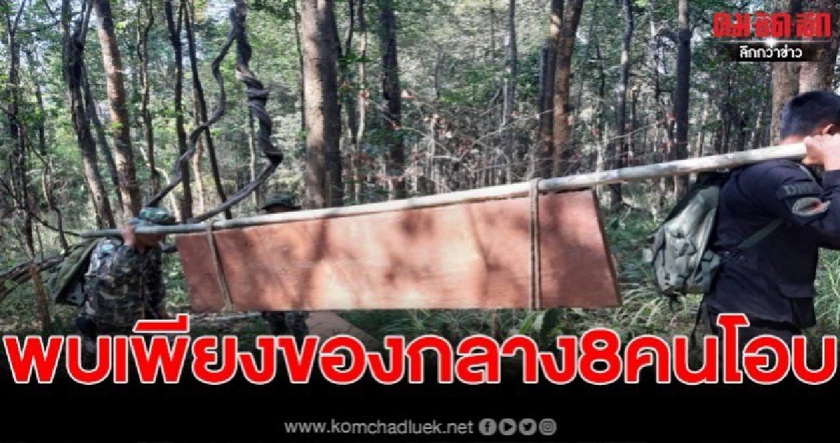 สนธิกำลังบุกยอดเขา หวังรวบแก๊งมอดไม้ พบแต่ต้นประดู่ 8 คนโอบ สนธิกำลังบุกยอดเขา หวังรวบแก๊งมอดไม้ พบแต่ต้นประดู่ 8 คนโอบ