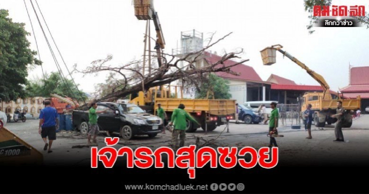 เจ้าของรถสุดช้ำ ต้นไม้ใหญ่เกิดโค่นทับรถเสียหายเล็กน้อย เจ้าของรถสุดช้ำ ต้นไม้ใหญ่เกิดโค่นทับรถเสียหายเล็กน้อย