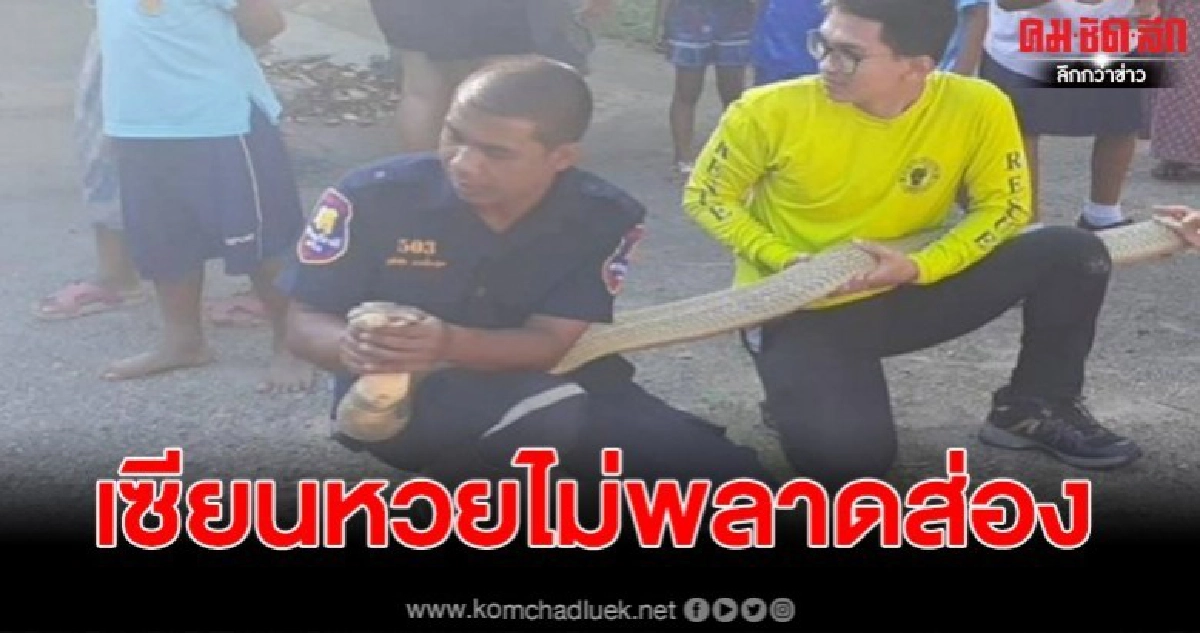 จงอางทวดเลื้อยเข้าบ้าน จงอางทวดเลื้อยเข้าบ้าน