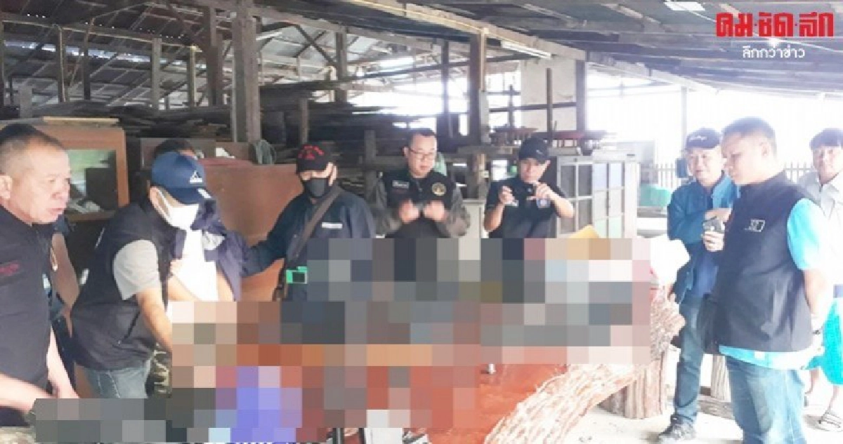 กวาดล้างอาวุธยึดเพียบปืนกว่า 300 กระบอกเครื่องกระสุนนับหมื่น กวาดล้างอาวุธยึดเพียบปืนกว่า 300 กระบอกเครื่องกระสุนนับหมื่น
