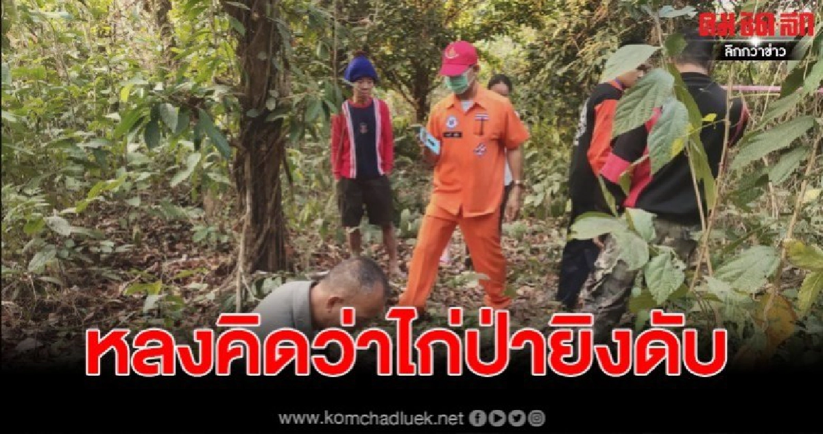 หนุ่มใหญ่พร้อมเพื่อน ออกล่าสัตว์ หลงคิดว่าเป็นไก่ป่า ยิงดับ หนุ่มใหญ่พร้อมเพื่อน ออกล่าสัตว์ หลงคิดว่าเป็นไก่ป่า ยิงดับ