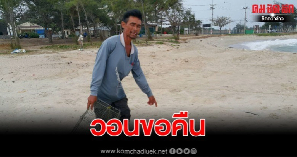หนุ่มประมงช้ำ!! คนยกลอบดักปู 75 อันหายไป วอนเอามาคืน หนุ่มประมงช้ำ!! คนยกลอบดักปู 75 อันหายไป วอนเอามาคืน