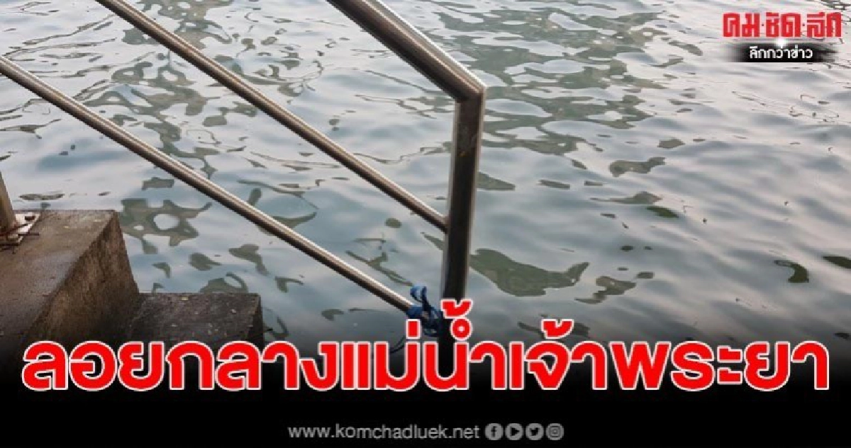 พบร่างไร้วิญญาณหนุ่มใหญ่ ลอยกลางแม่น้ำเจ้าพระยา พบร่างไร้วิญญาณหนุ่มใหญ่ ลอยกลางแม่น้ำเจ้าพระยา