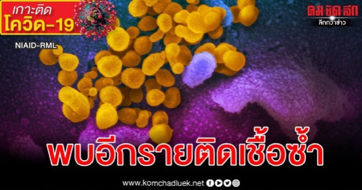 เกาหลีใต้พบเคสแรกติดเชื้อซ้ำหลังหายป่วย-ยอดทะลุ 3 พัน เกาหลีใต้พบเคสแรกติดเชื้อซ้ำหลังหายป่วย-ยอดทะลุ 3 พัน