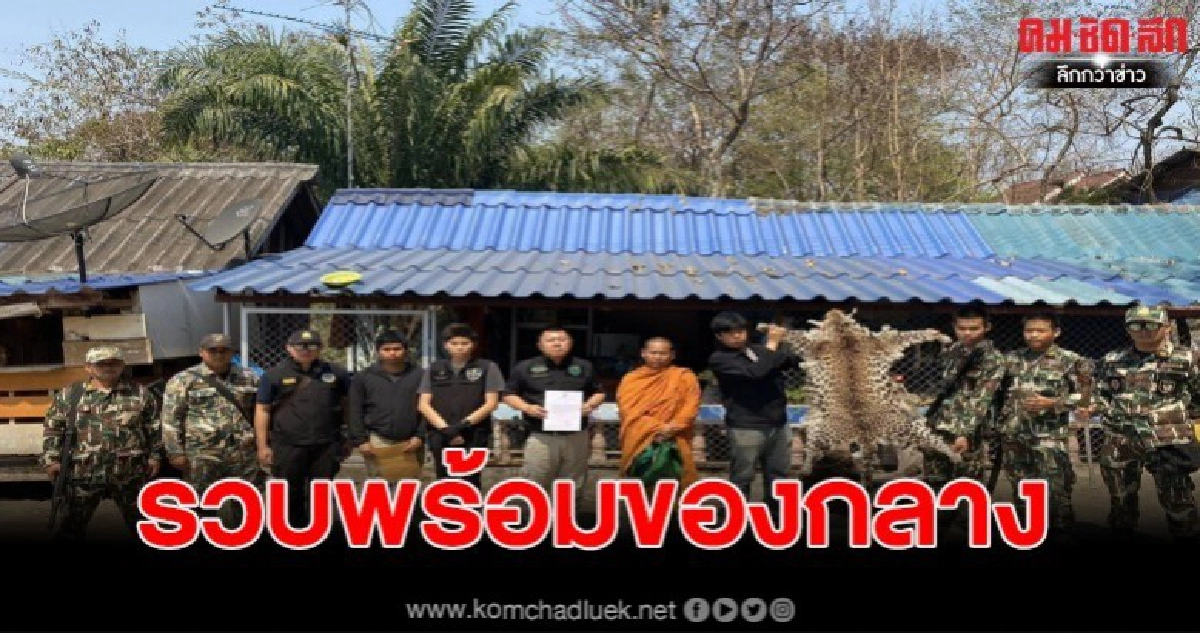รวบเจ้าอาวาสพร้อมหนังเสือดาว-เขากระทิง รวบเจ้าอาวาสพร้อมหนังเสือดาว-เขากระทิง
